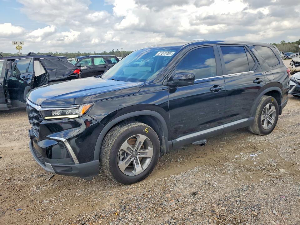 2024 HONDA PILOT EXL - 1
