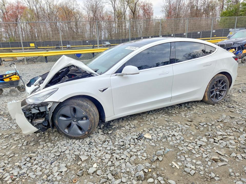 2019 TESLA MDL 3 - 1
