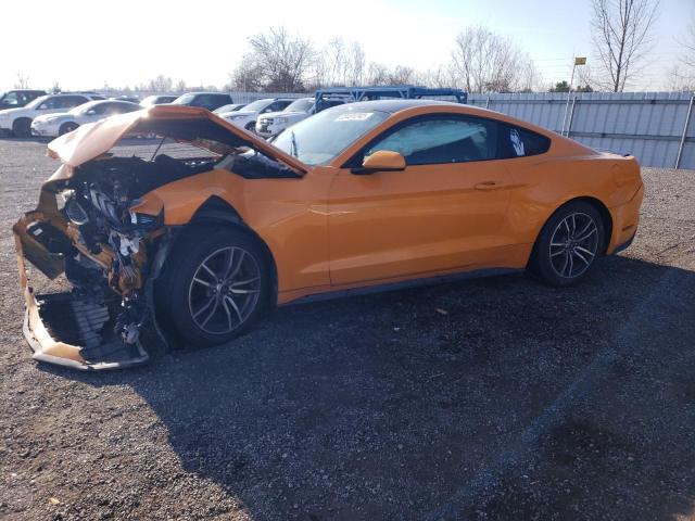2019 FORD MUSTANG - 1