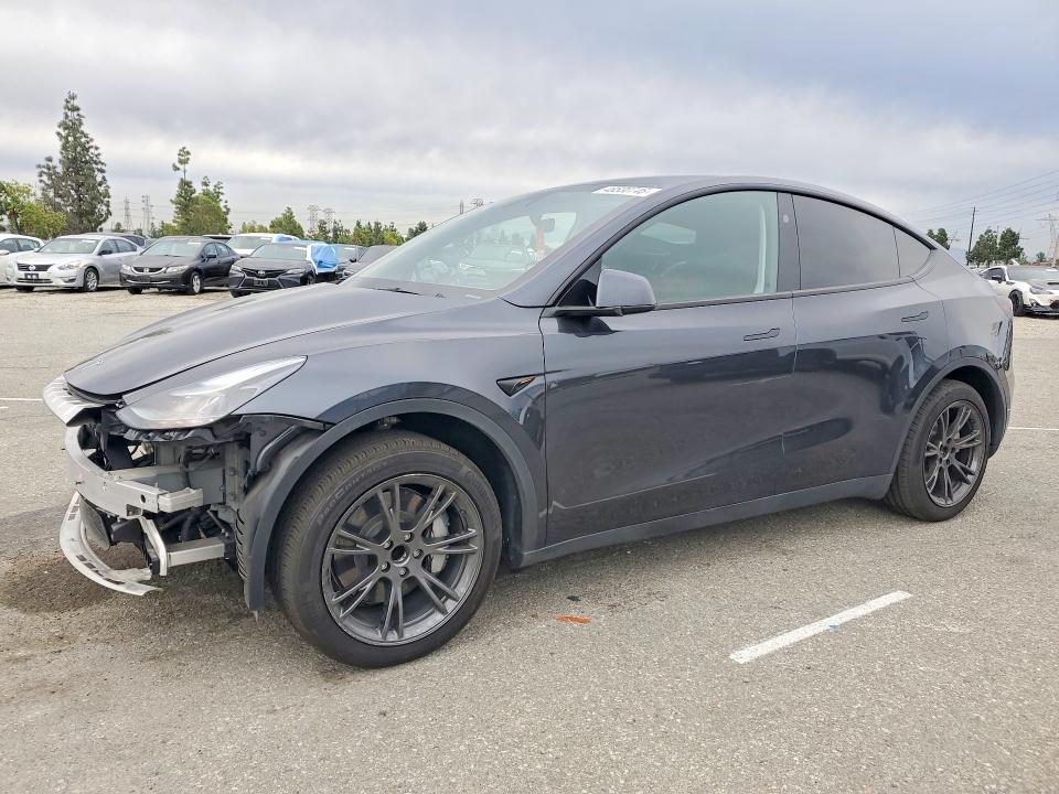 2025 TESLA MODEL Y - 1
