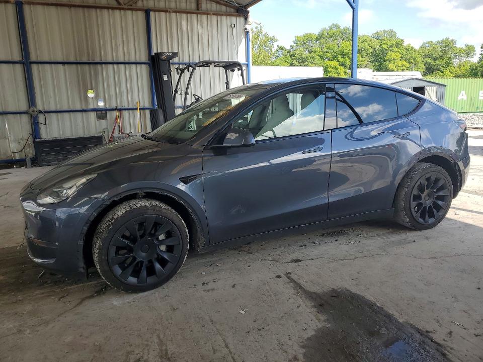 2023 TESLA MODEL Y - 1