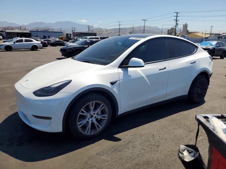 2023 TESLA MODEL Y - 1
