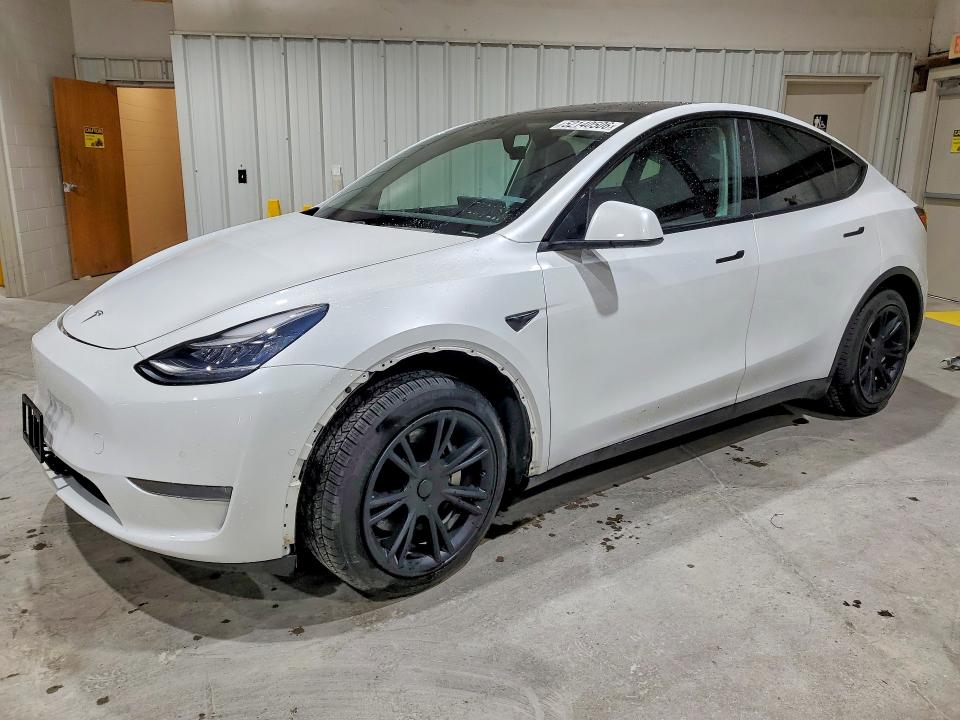 2020 TESLA MODEL Y - 1