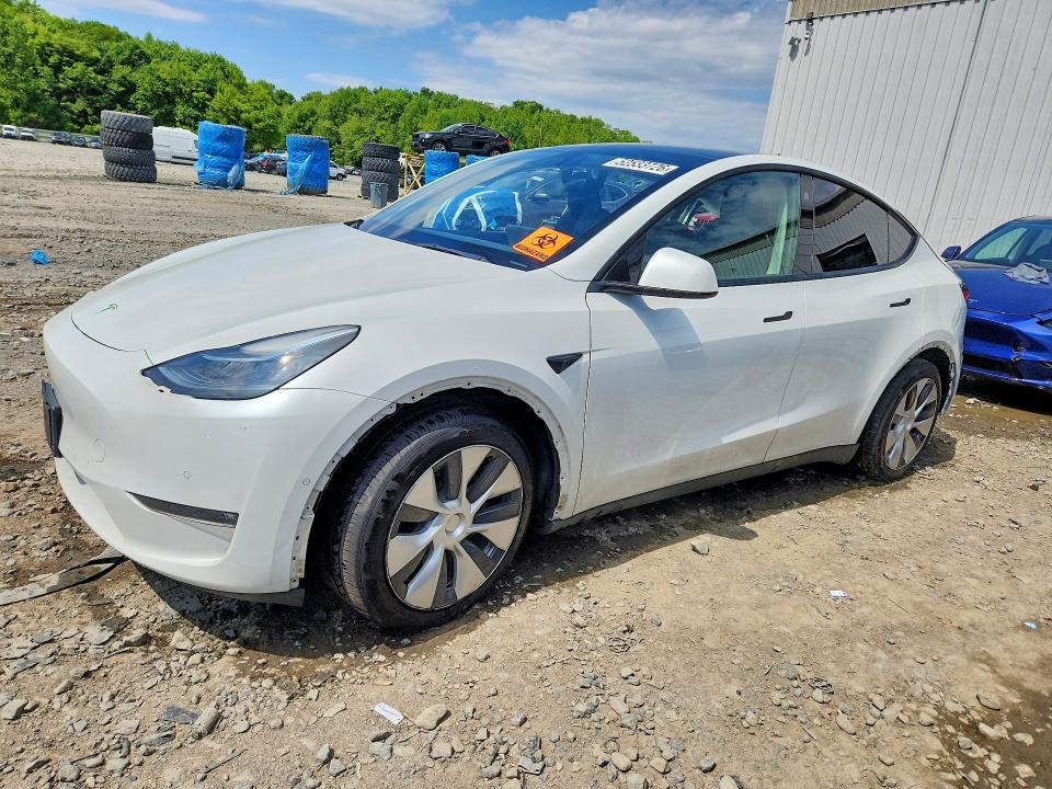2021 TESLA MODEL Y - 1