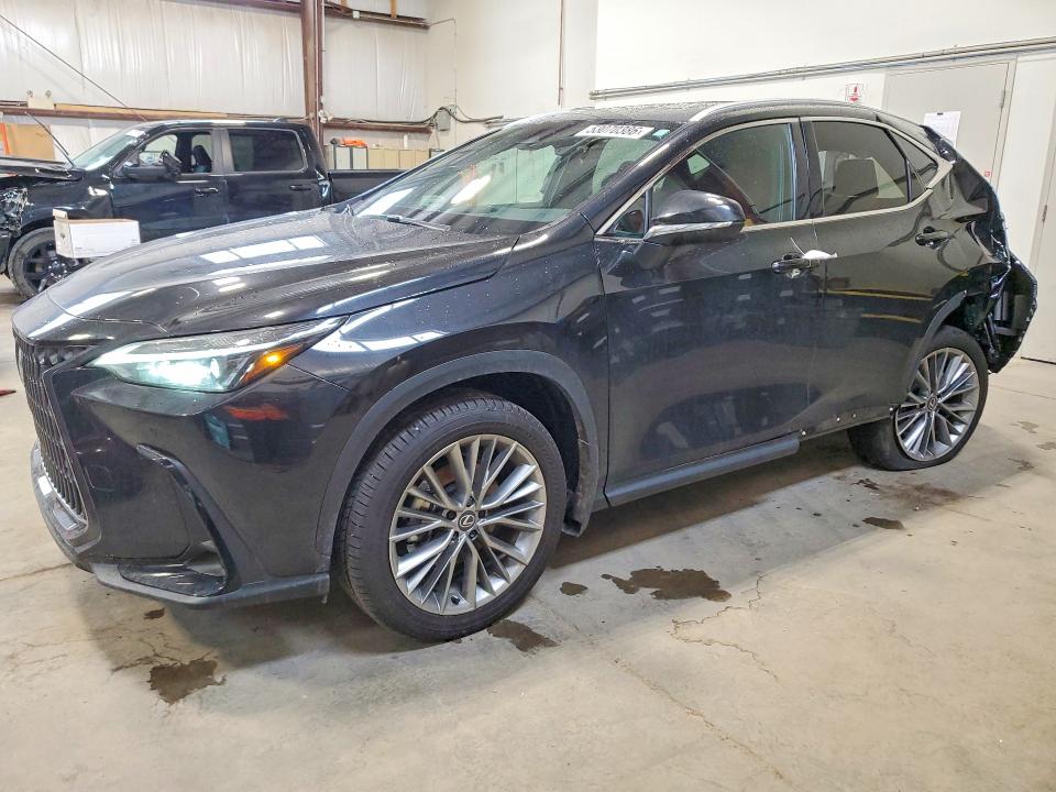 2026 LEXUS NX 350 - 1
