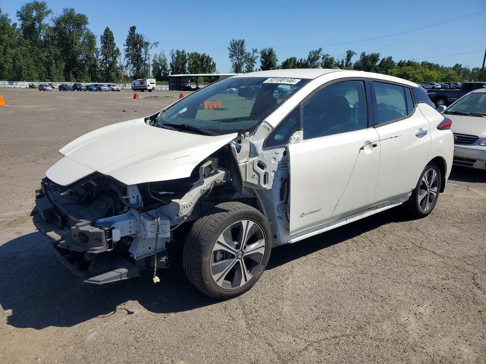 2019 NISSAN LEAF SV PLUS - 1