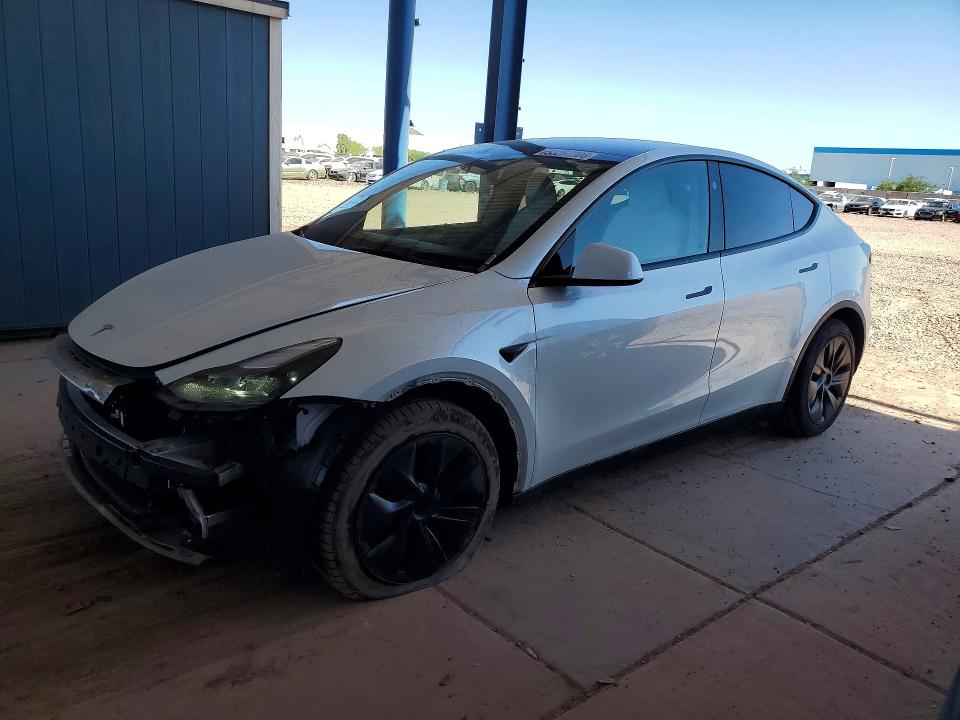 2025 TESLA MODEL Y - 1