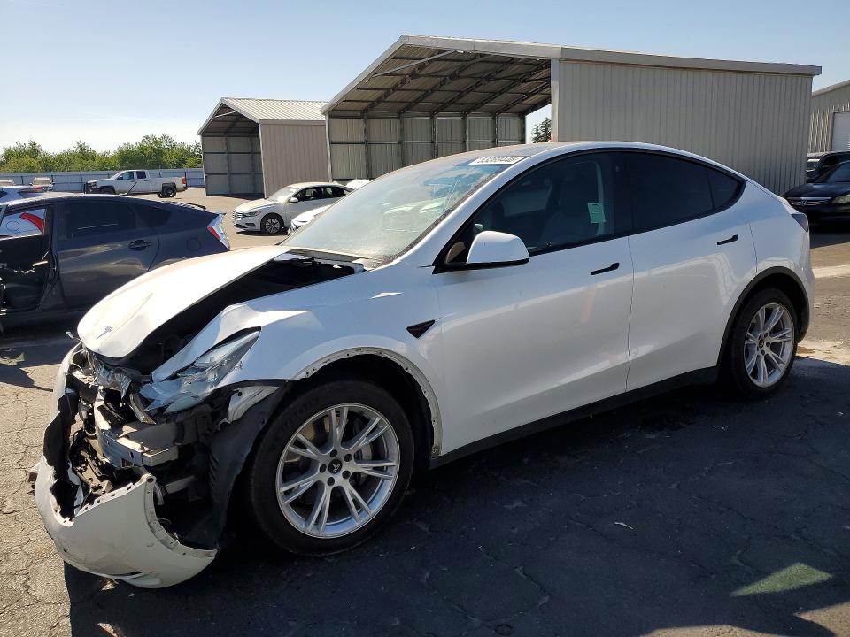 2021 TESLA MODEL Y - 1