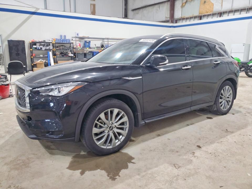 2023 INFINITI QX50 LUXE - 1