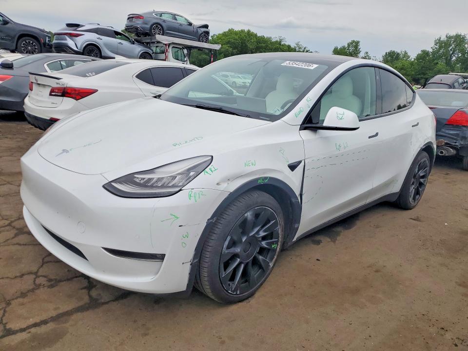 2021 TESLA MODEL Y - 1