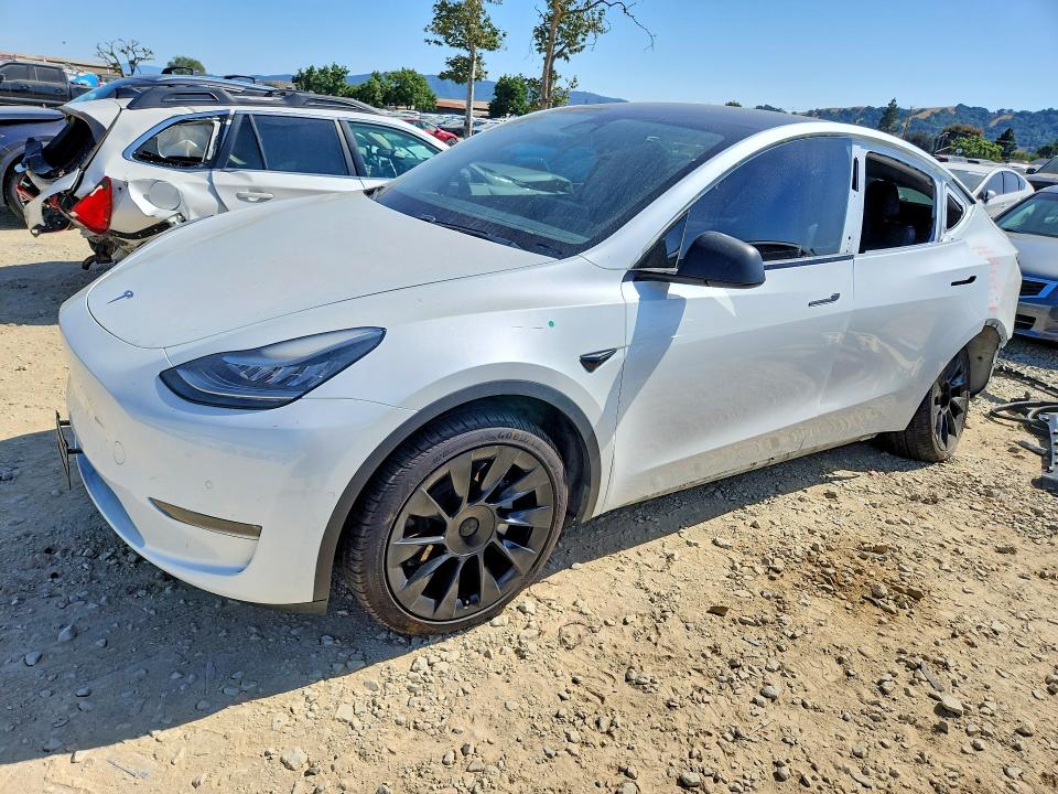 2020 TESLA MODEL Y - 1