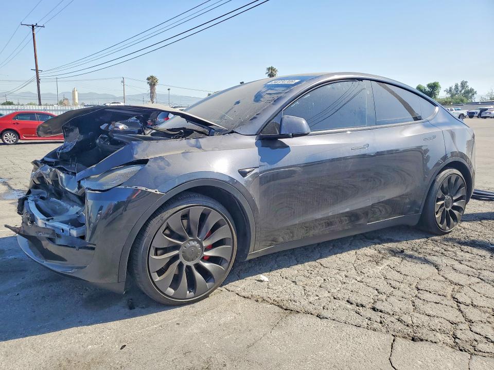 2025 TESLA MODEL Y - 1