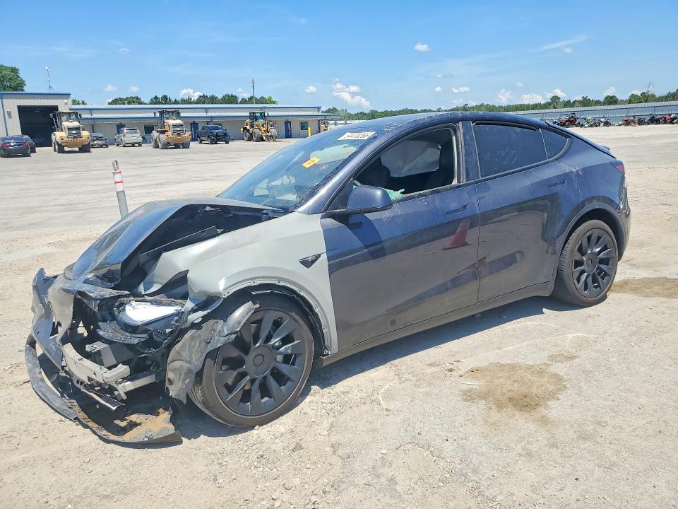2025 TESLA MODEL Y - 1