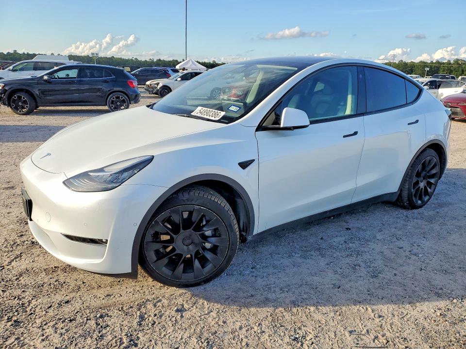 2022 TESLA MODEL Y - 1