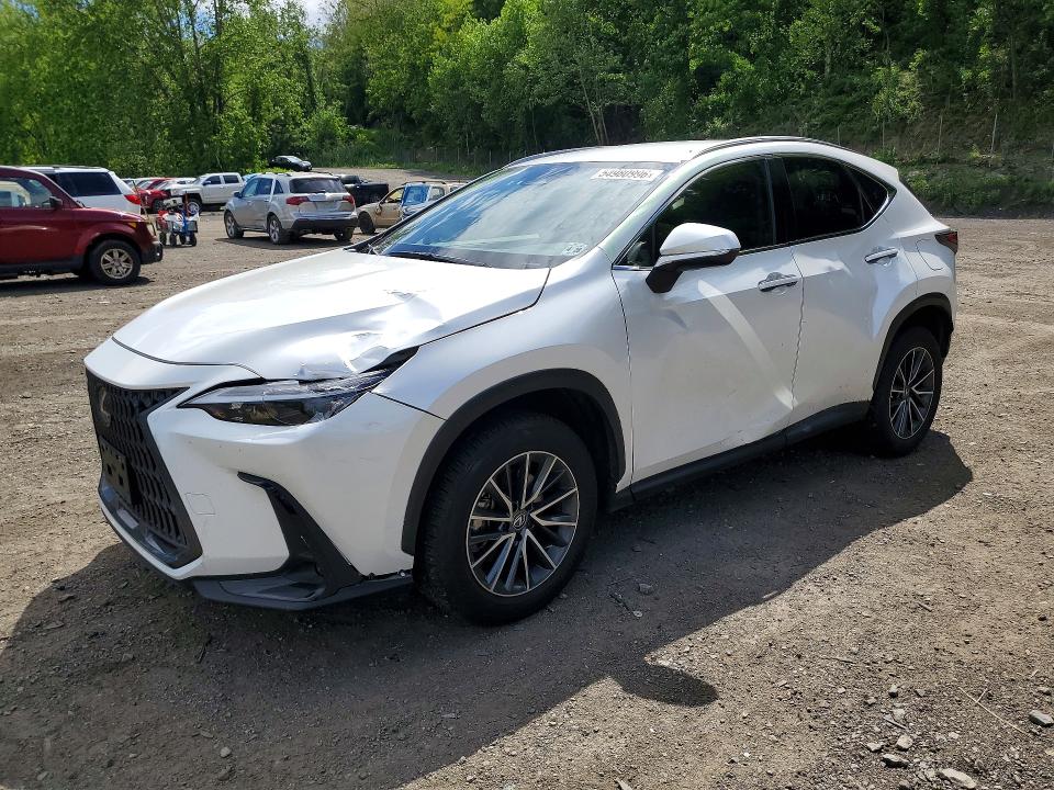 2023 LEXUS NX 250 - 1