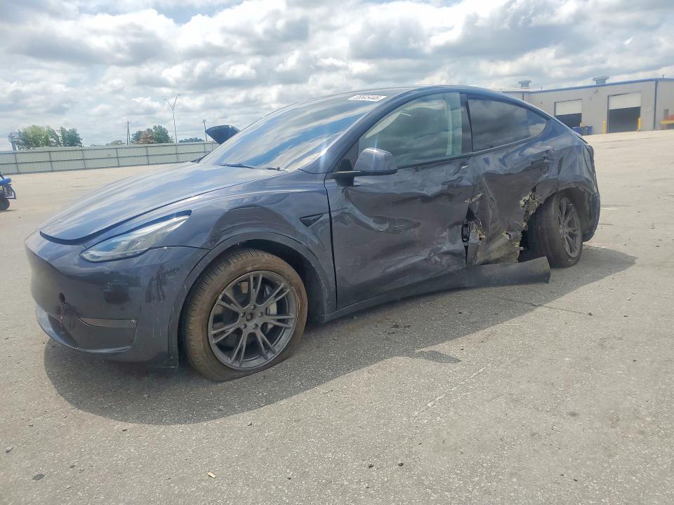 2025 TESLA MODEL Y - 1