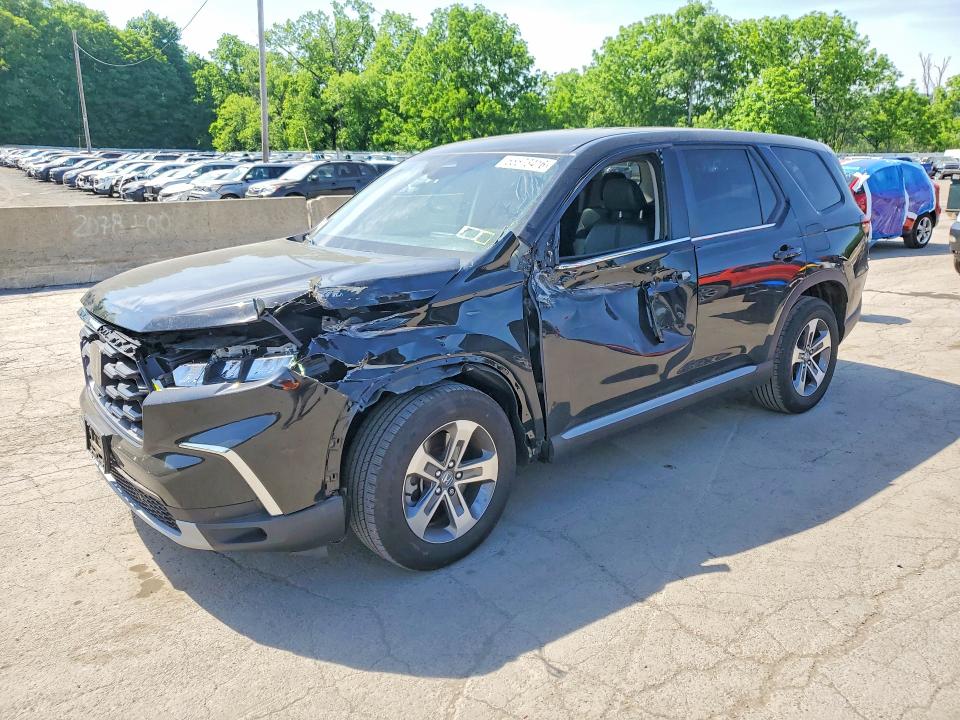 2024 HONDA PILOT EXL - 1