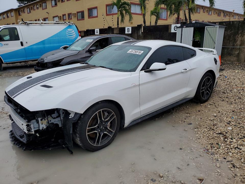 2019 FORD MUSTANG - 1