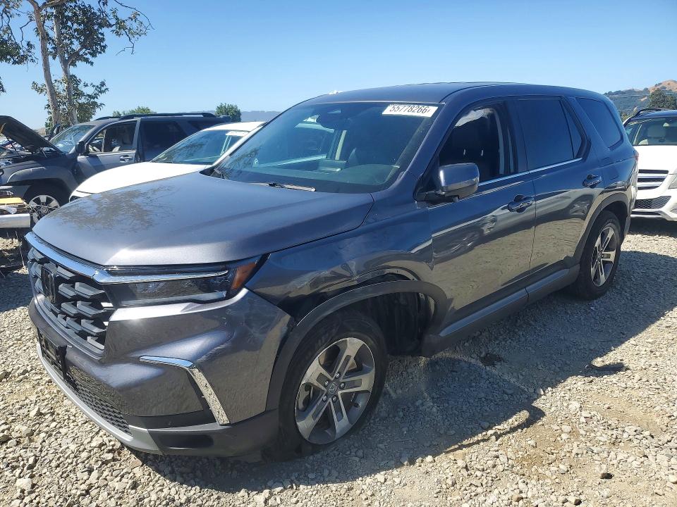 2025 HONDA PILOT EXL - 1