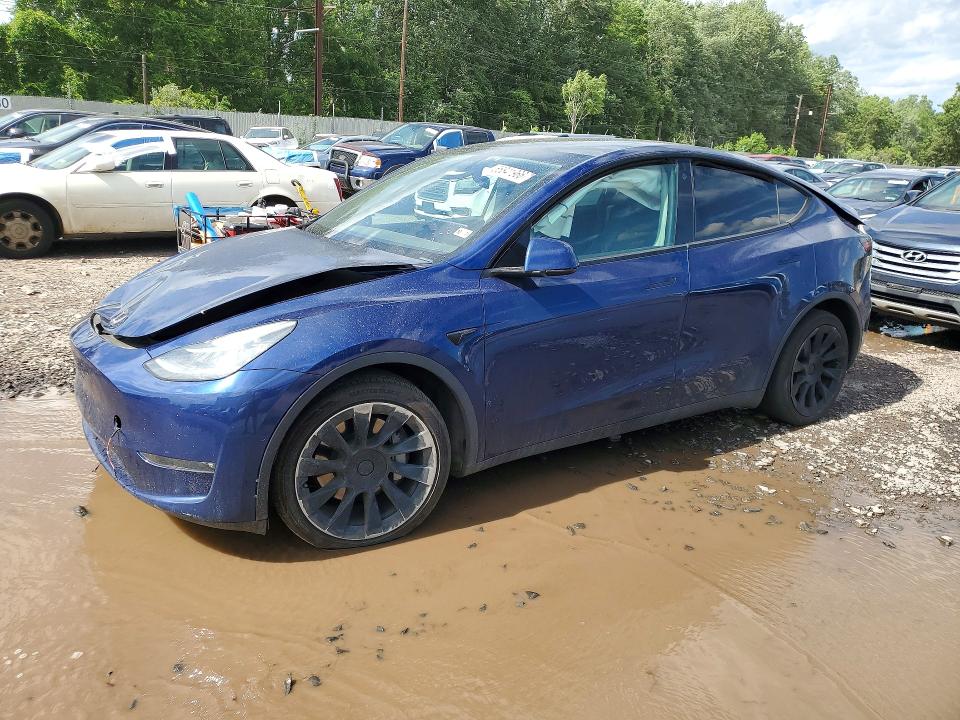 2021 TESLA MODEL Y - 1