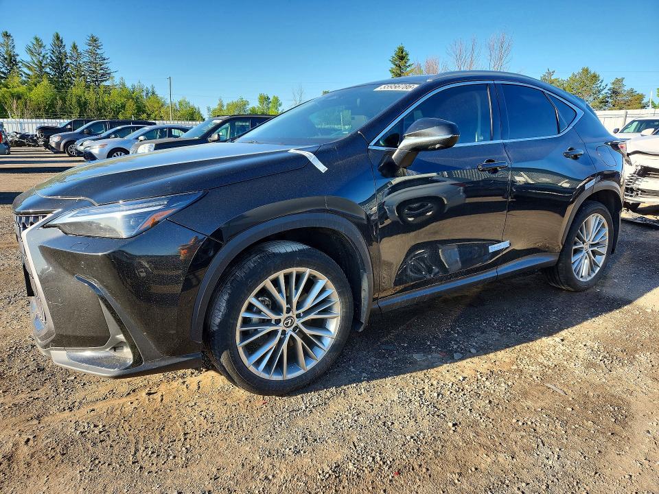 2025 LEXUS NX 350 PREMIUM - 1