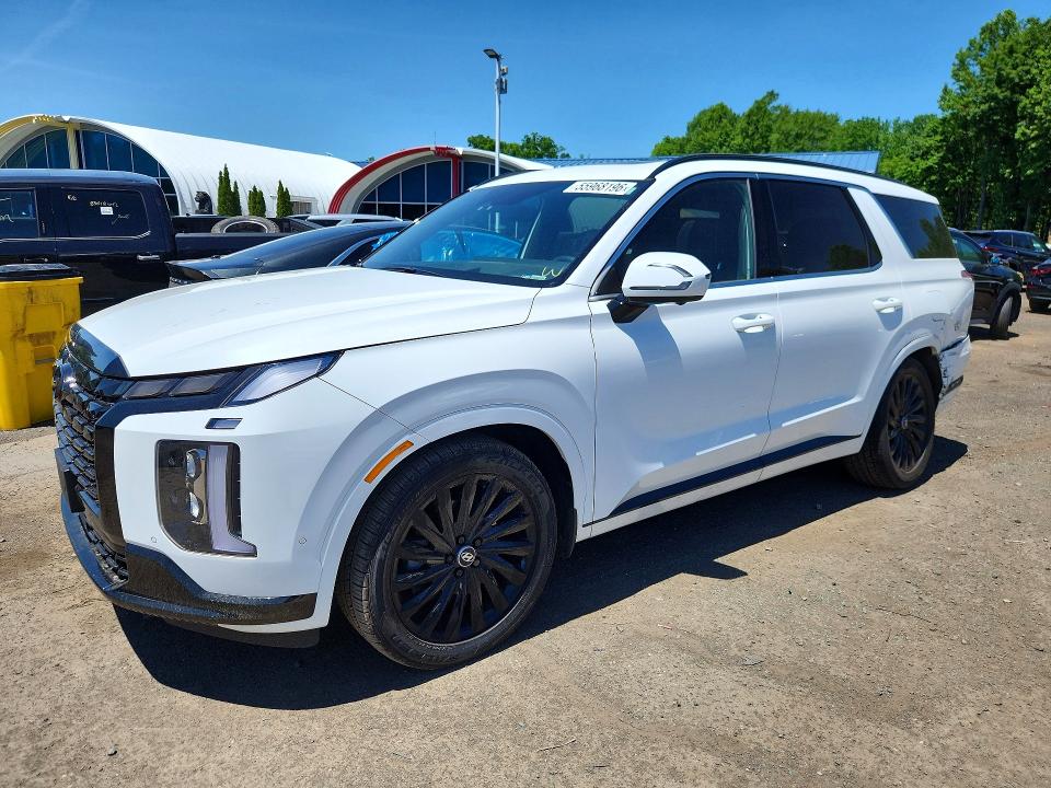 2024 HYUNDAI PALISADE CALLIGRAPHY NIGHT EDITION - 1