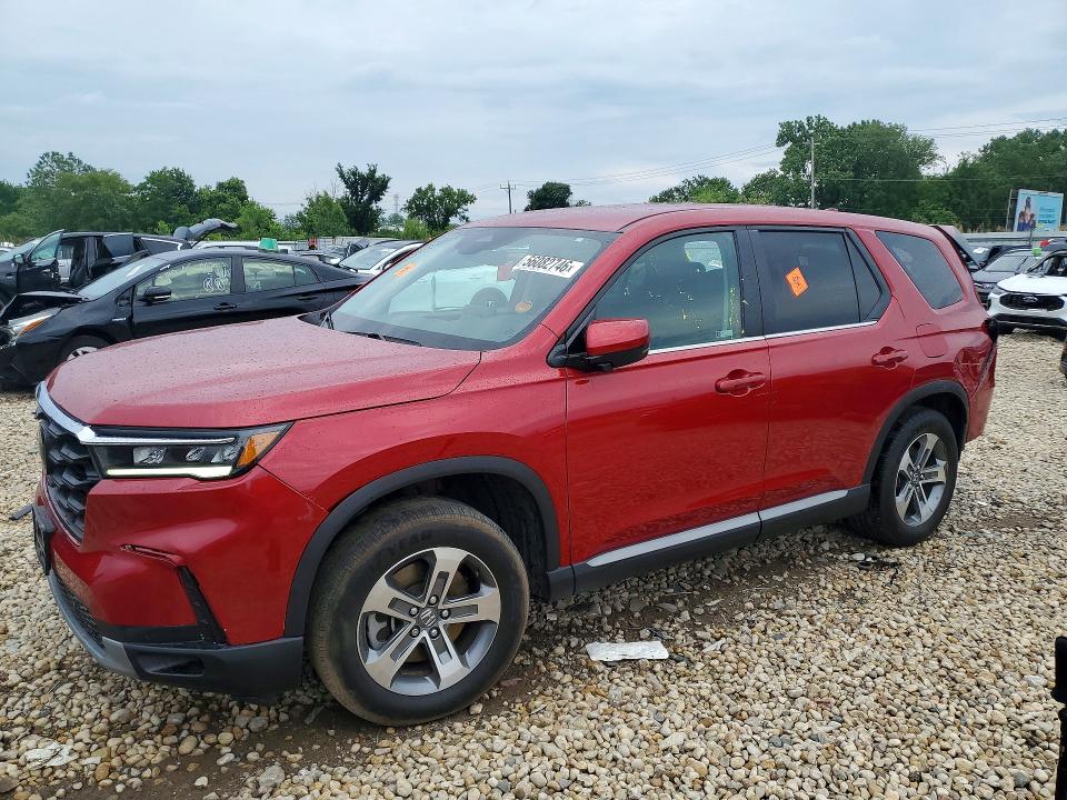 2024 HONDA PILOT EXL - 1