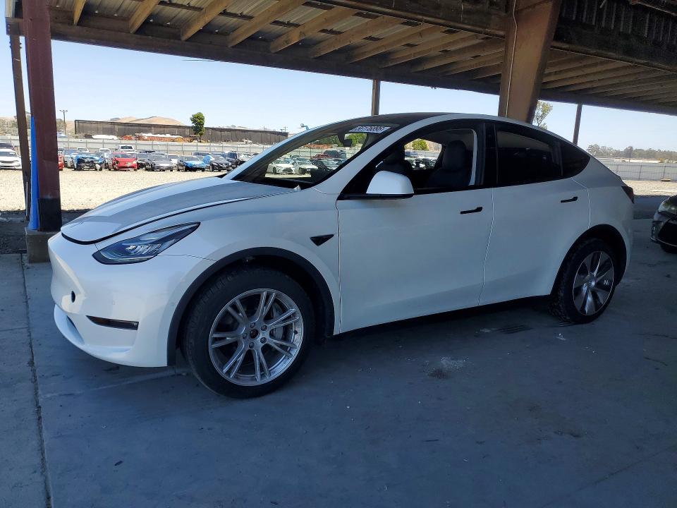 2022 TESLA MODEL Y - 1
