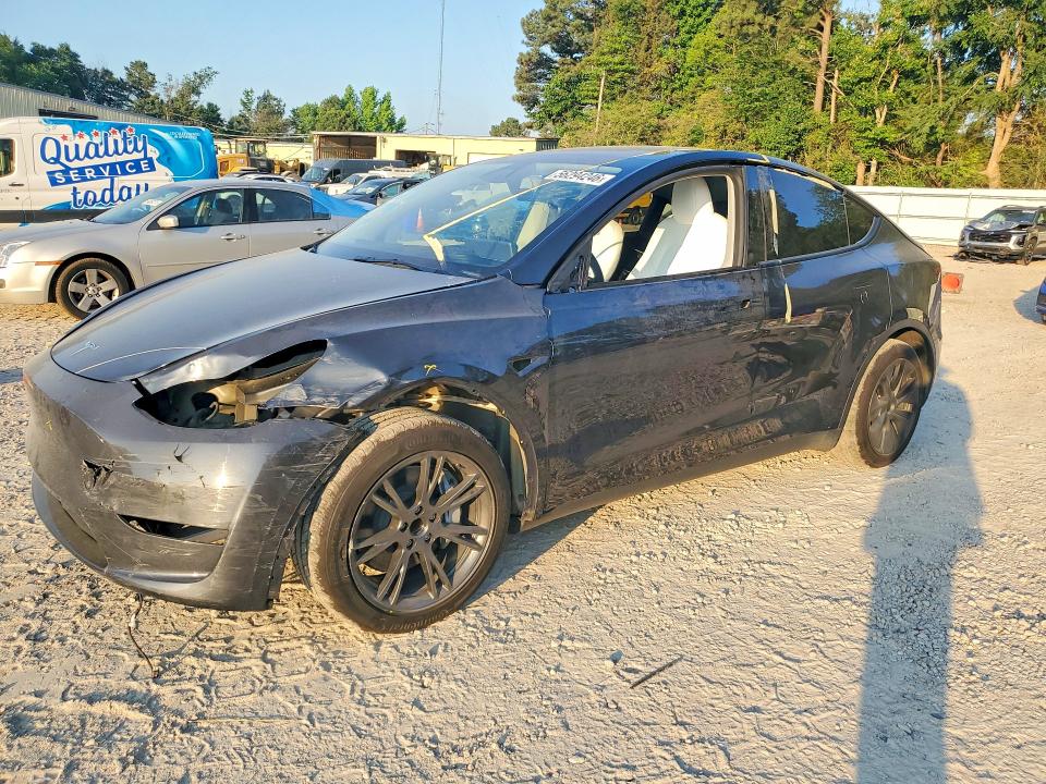 2025 TESLA MODEL Y - 1