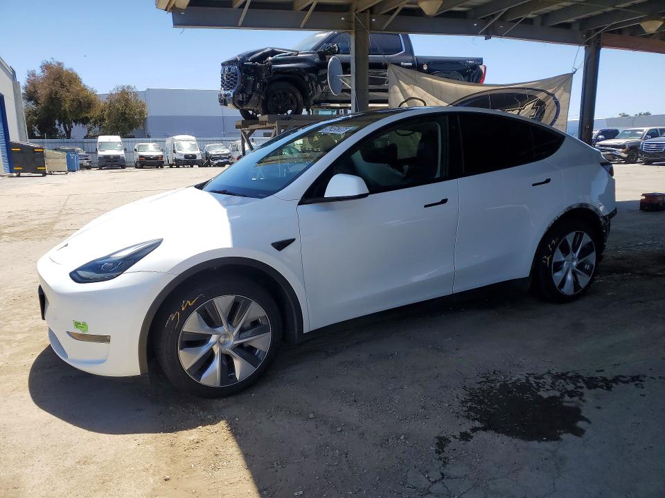 2023 TESLA MODEL Y - 1