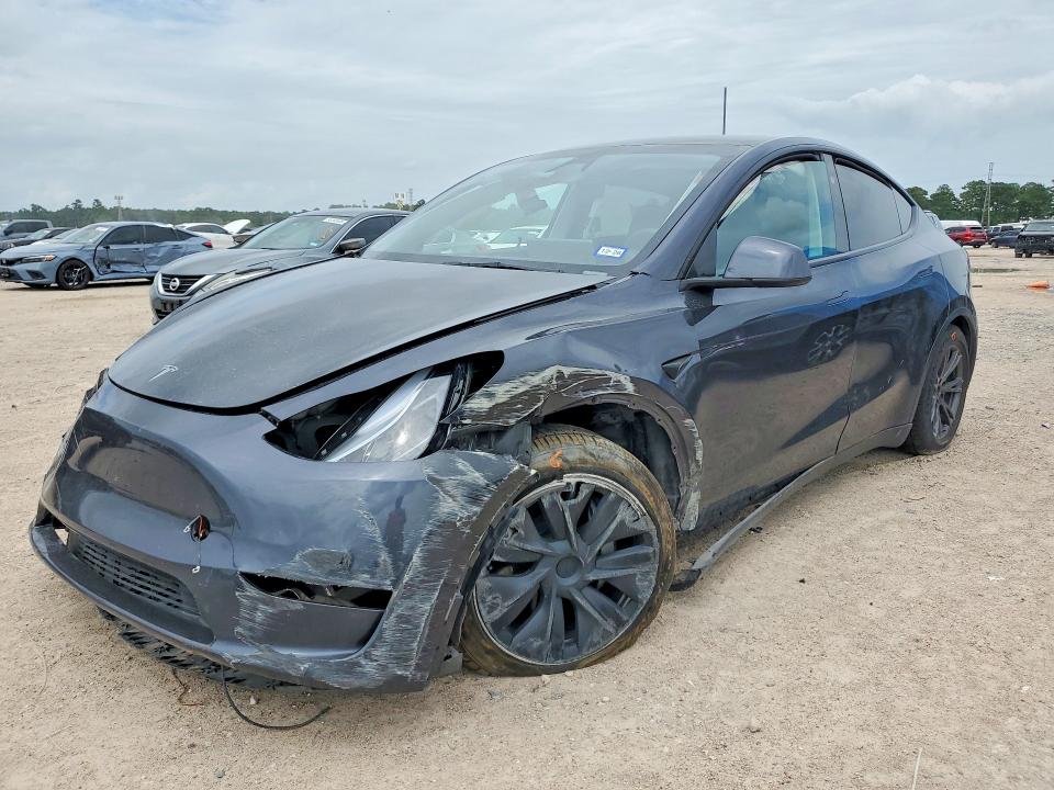 2025 TESLA MODEL Y - 1