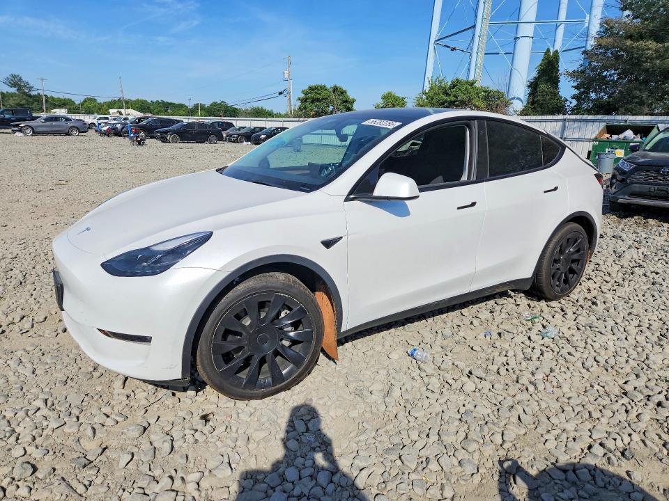 2023 TESLA MODEL Y - 1