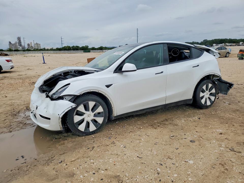 2021 TESLA MODEL Y - 1