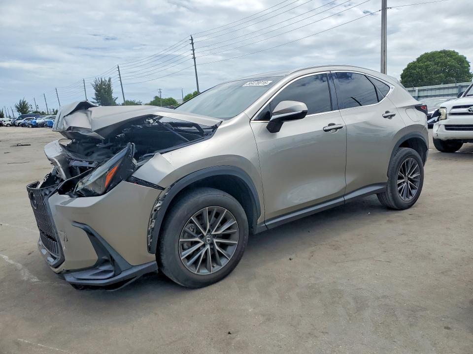 2023 LEXUS NX 250 - 1