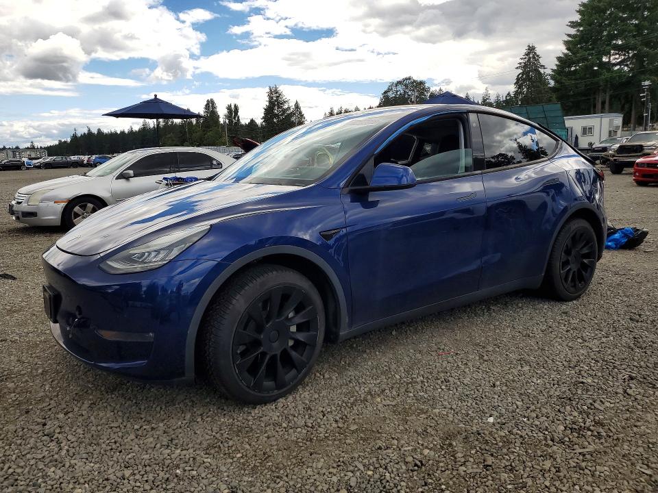 2020 TESLA MODEL Y - 1