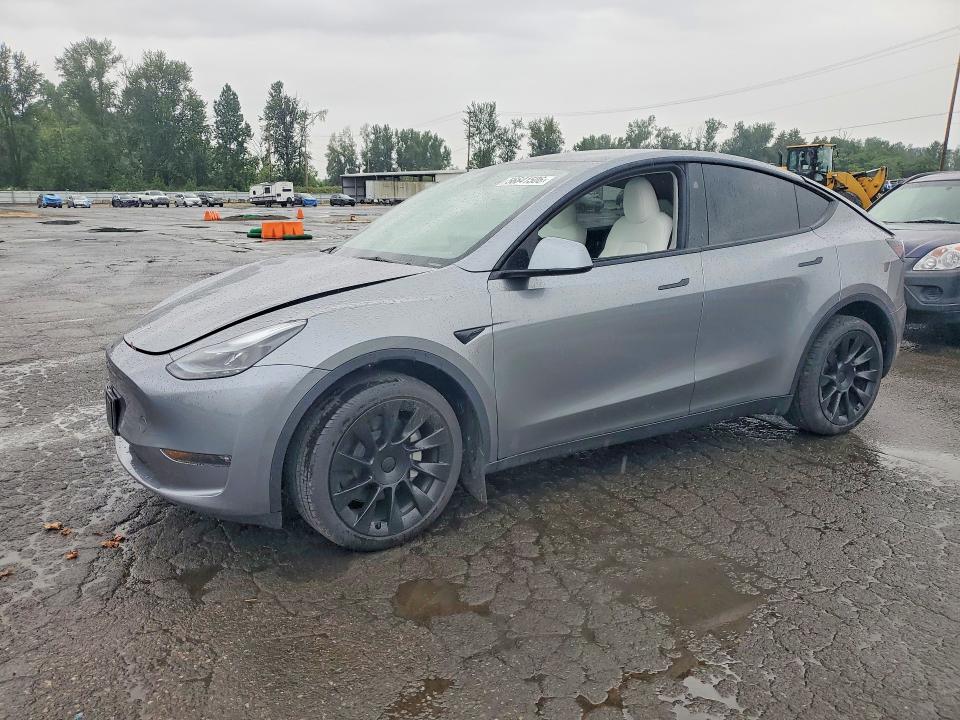 2025 TESLA MODEL Y - 1