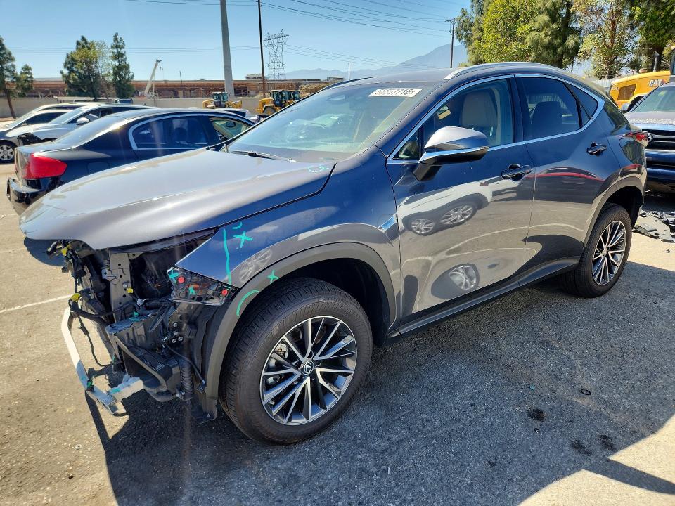 2023 LEXUS NX 350H - 1