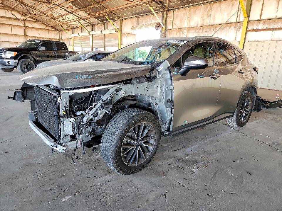 2025 LEXUS NX - 1