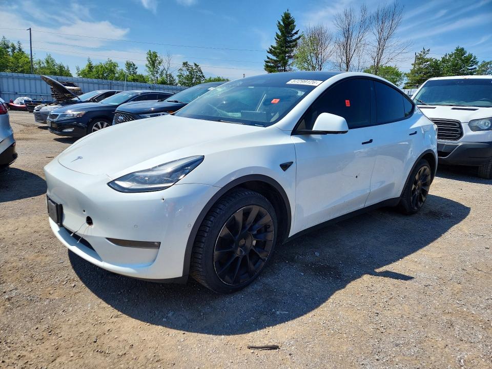 2021 TESLA MODEL Y - 1