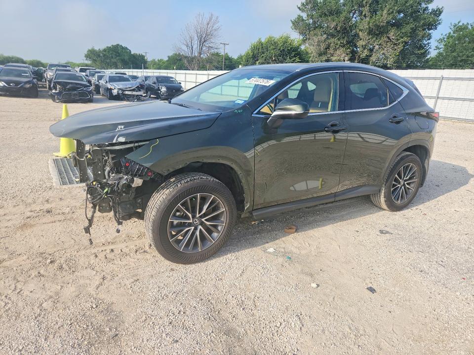 2025 LEXUS NX 250 BASE - 1