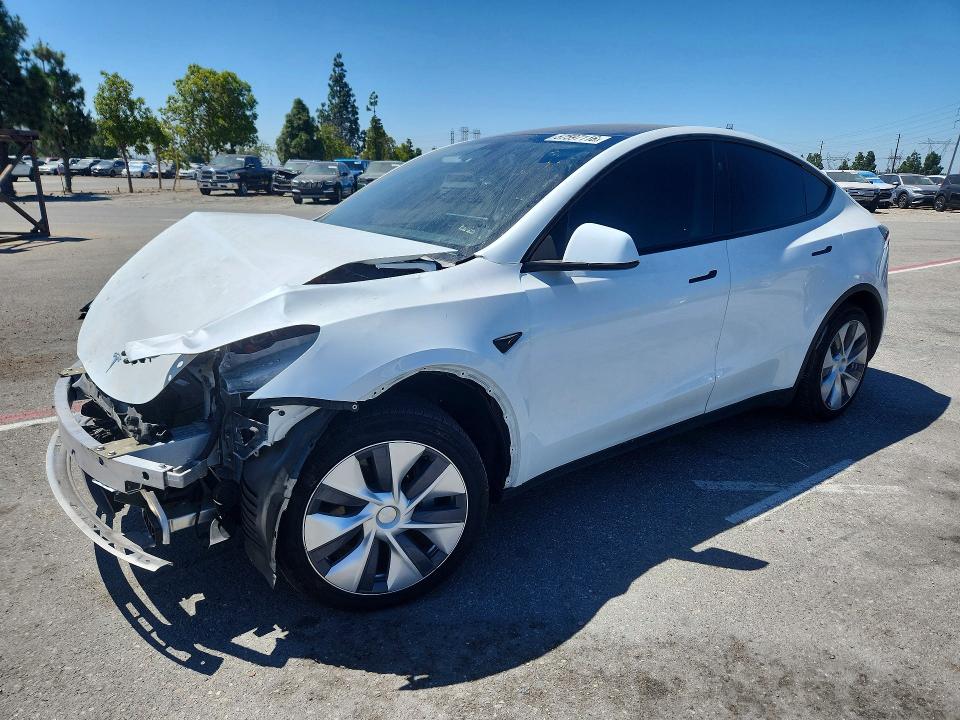 2024 TESLA MODEL Y - 1