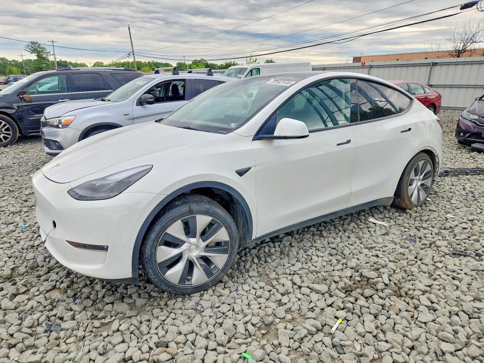 2023 TESLA MODEL Y - 1