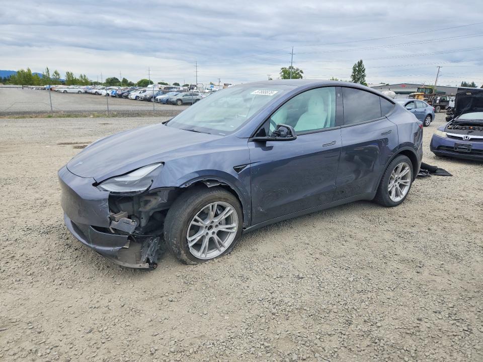 2022 TESLA MODEL Y - 1