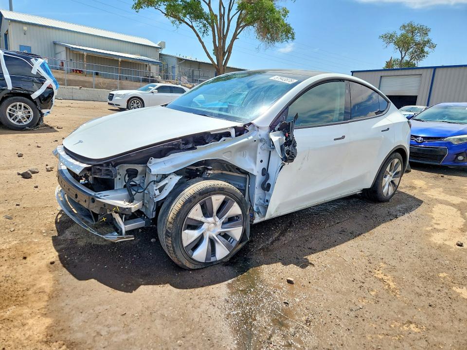 2024 TESLA MODEL Y - 1