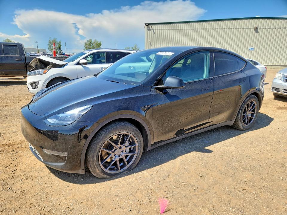 2023 TESLA MODEL Y - 1
