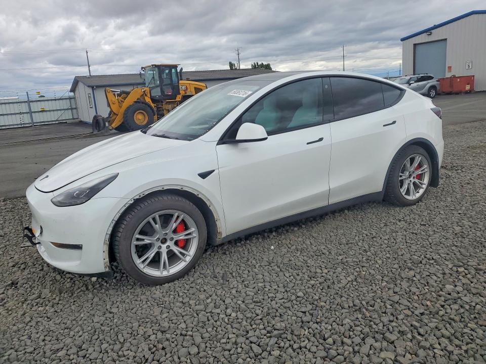 2022 TESLA MODEL Y - 1