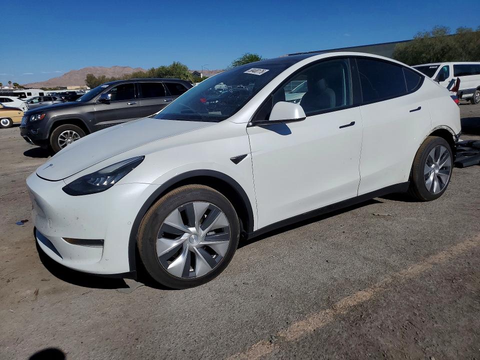 2021 TESLA MODEL Y - 1