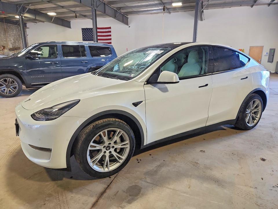 2021 TESLA MODEL Y - 1
