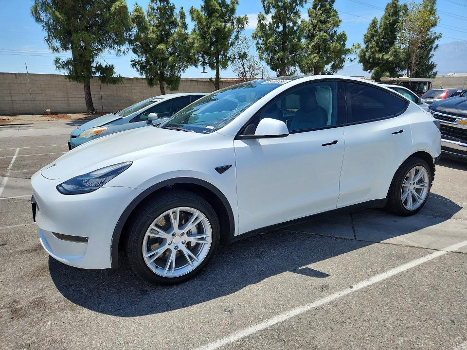 2023 TESLA MODEL Y - 1