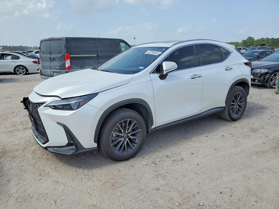 2024 LEXUS NX 250 PREMIUM - 1